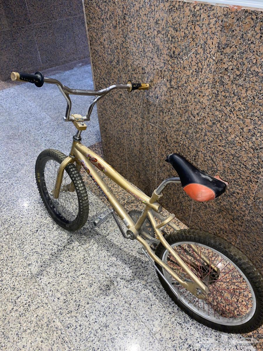 سيكل كوبرا للبيع64387481383939113