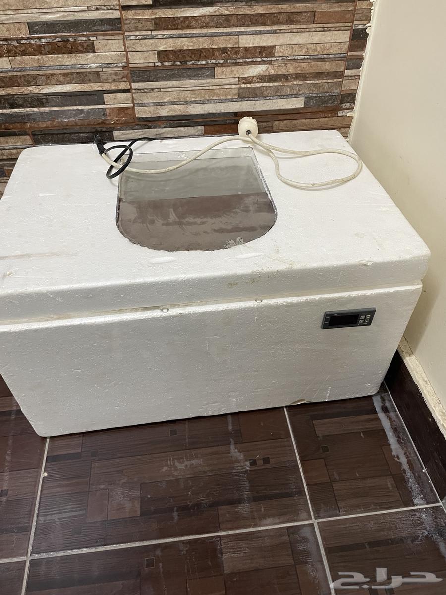 فقاسه للبيع الموقع الخرج64382362338946112