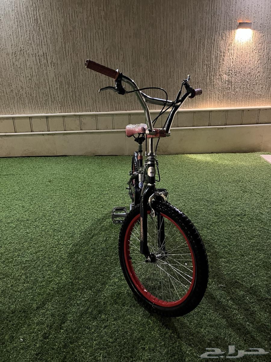 سيكل كوبرا مقاس 20 جديد ولا خدشه64378440383874113