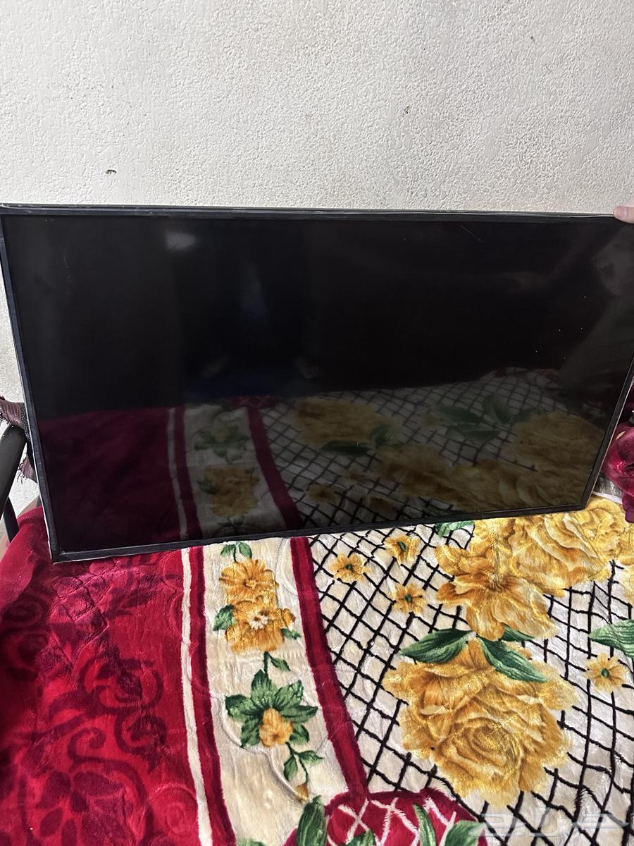 We have 3 screens for sale, sizes 50, 55, and 60, renewed in store64377535387009110