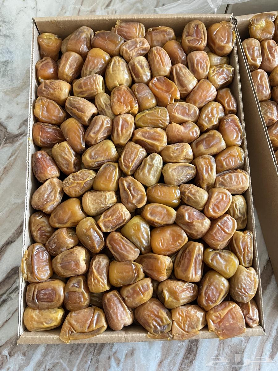 First Grade Sticky Twisted Dates and Galaxy64382418637059113