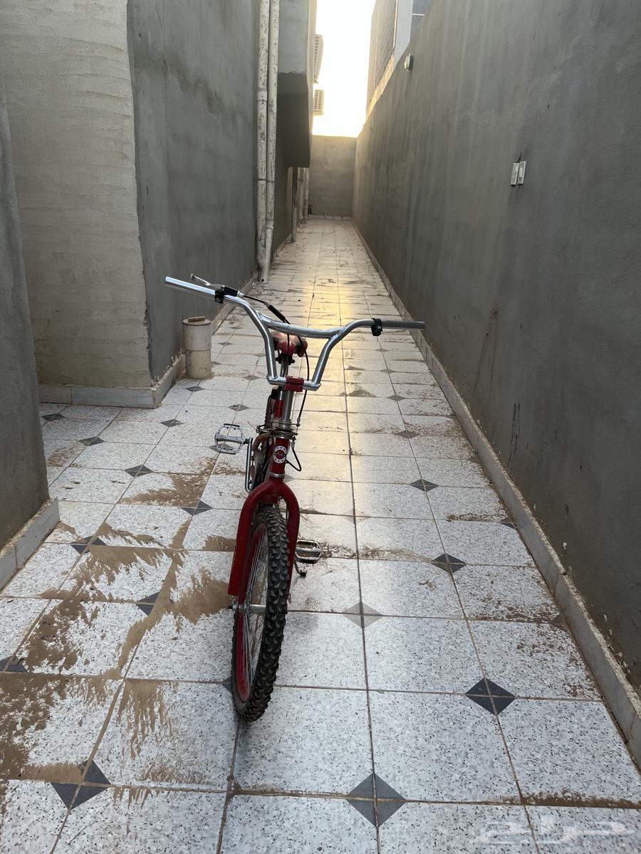 A very clean 20-inch bicycle, but the rear tire is either deflated or punctured64379457857665112