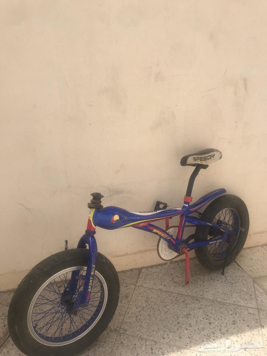 Cobra size 1664378368042883111