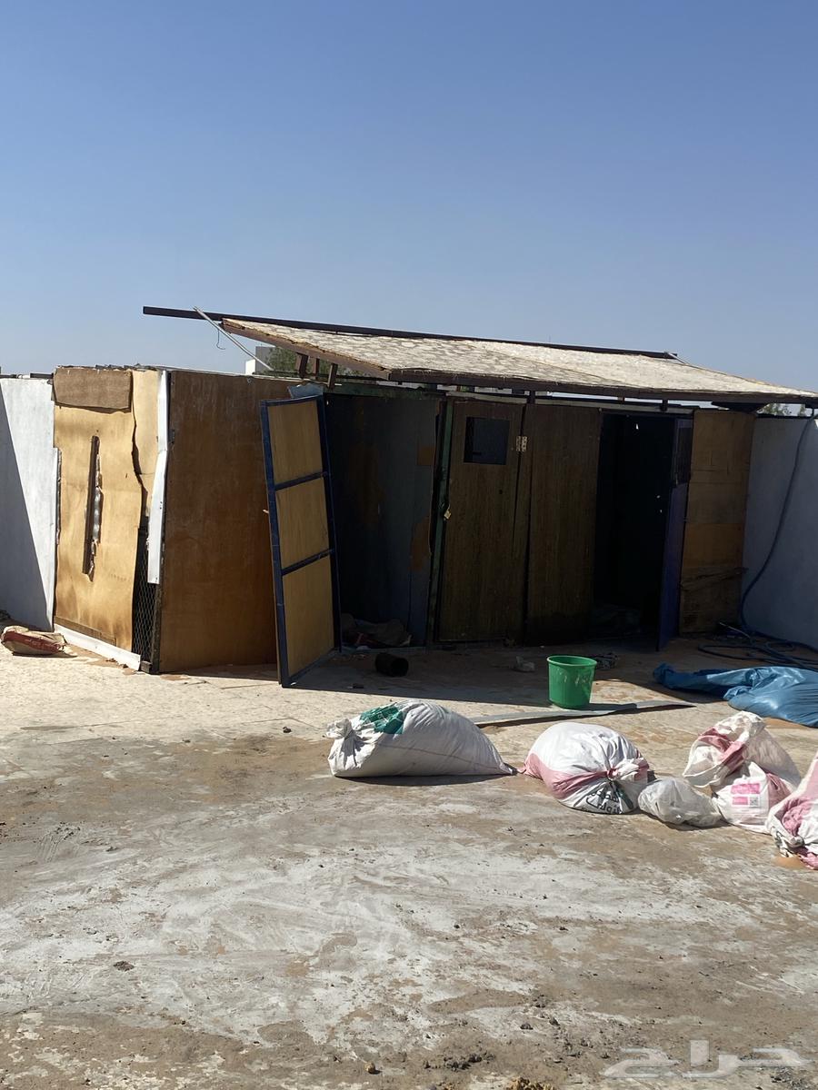 سكراب وحديد للبيع64385508904963114