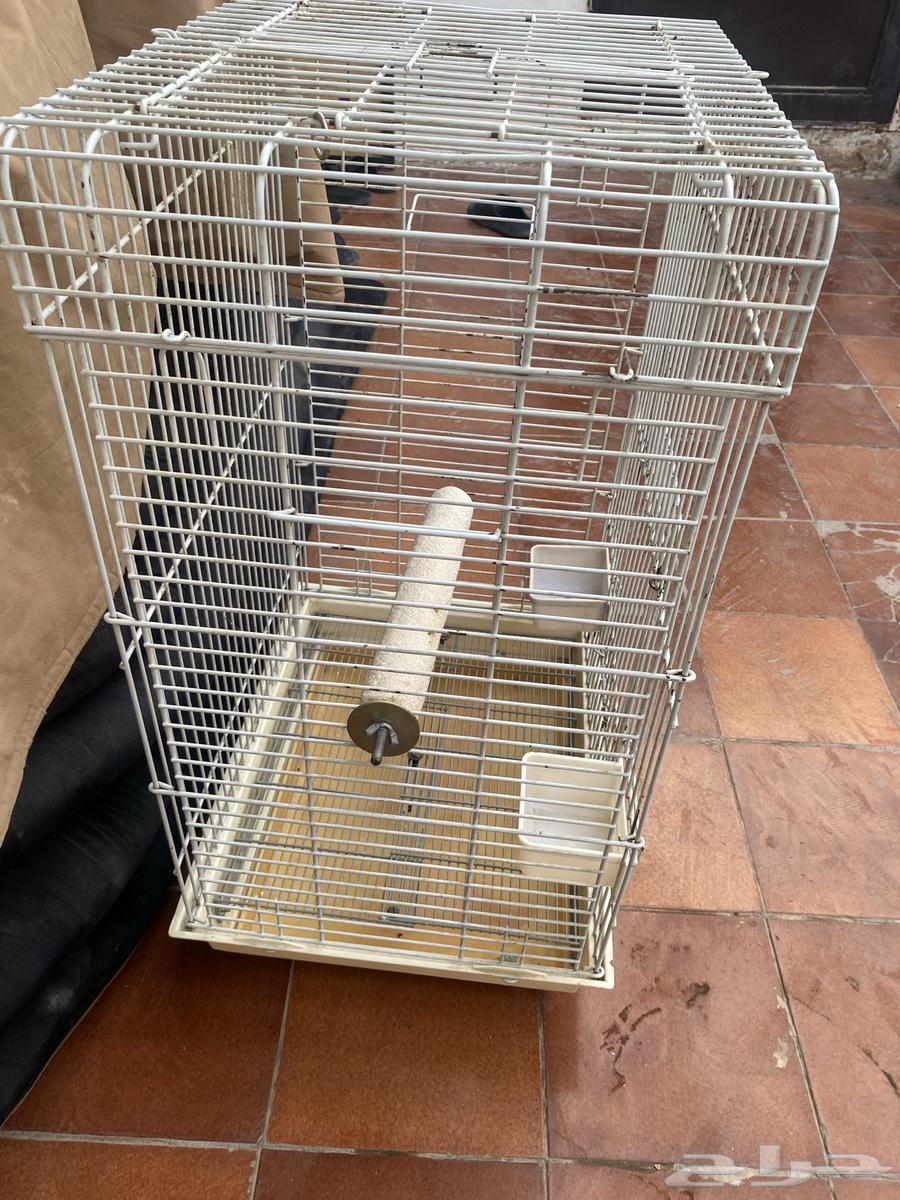 للبيع قفص طيور64386821959171113