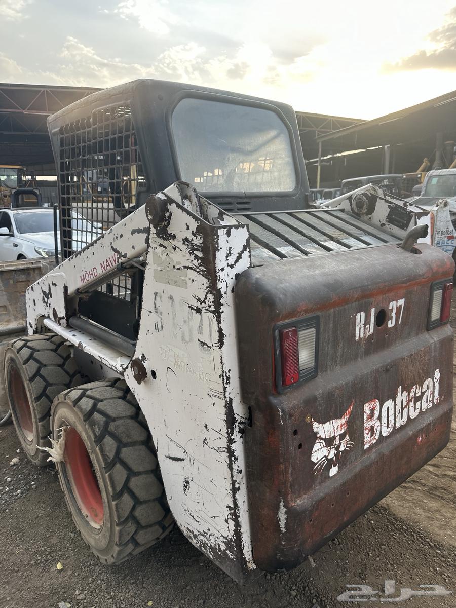 بوبكات ببكات حواس للبيع64533874197634111