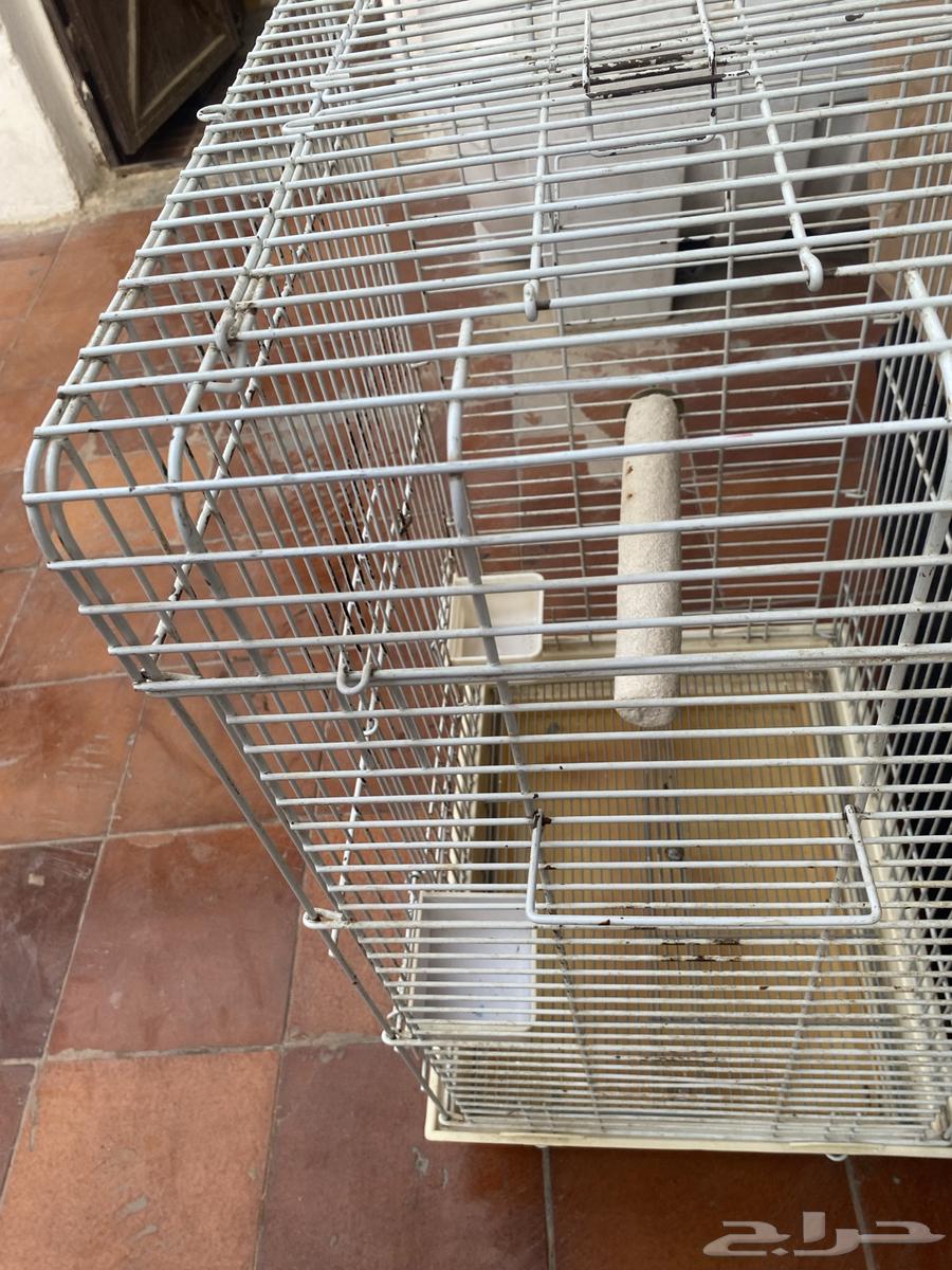 للبيع قفص طيور64386821959171112