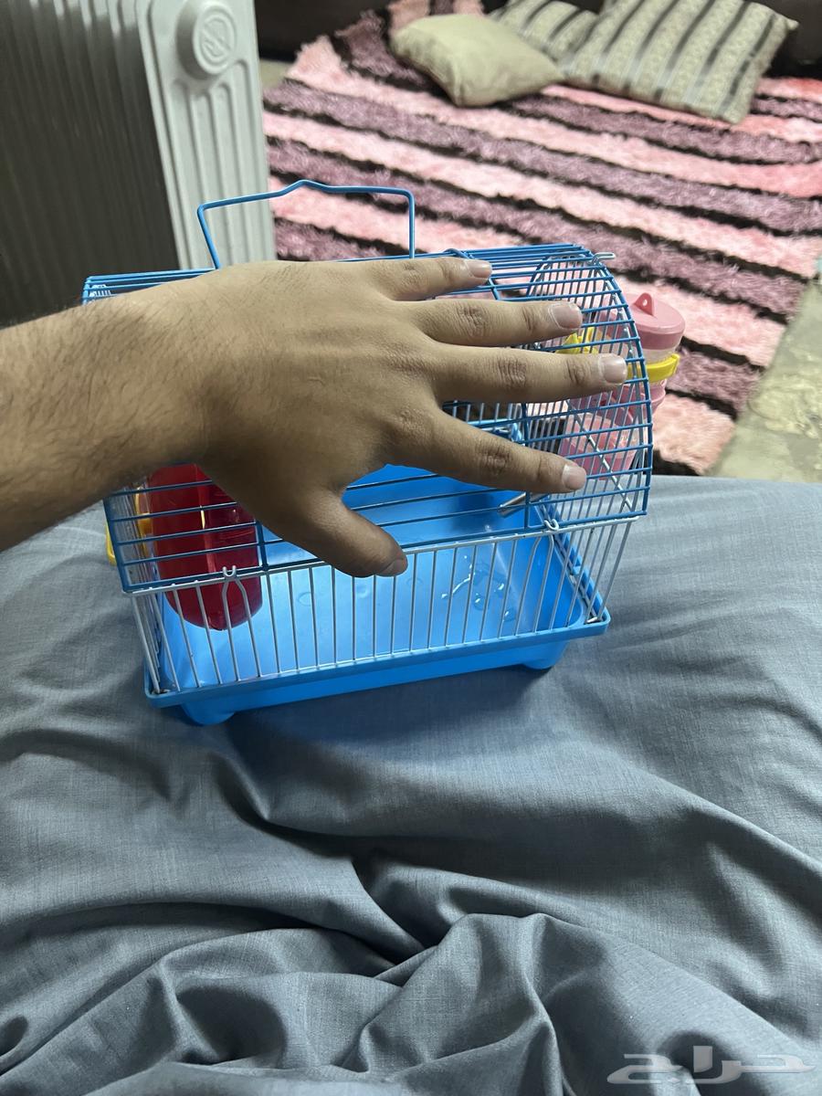 قفص طير64379674619009111