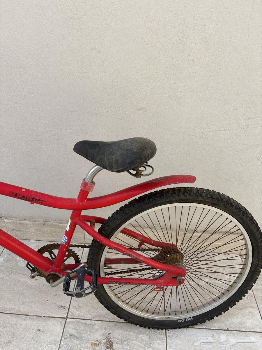 سيكل كوبرا للبيع64386668779907111