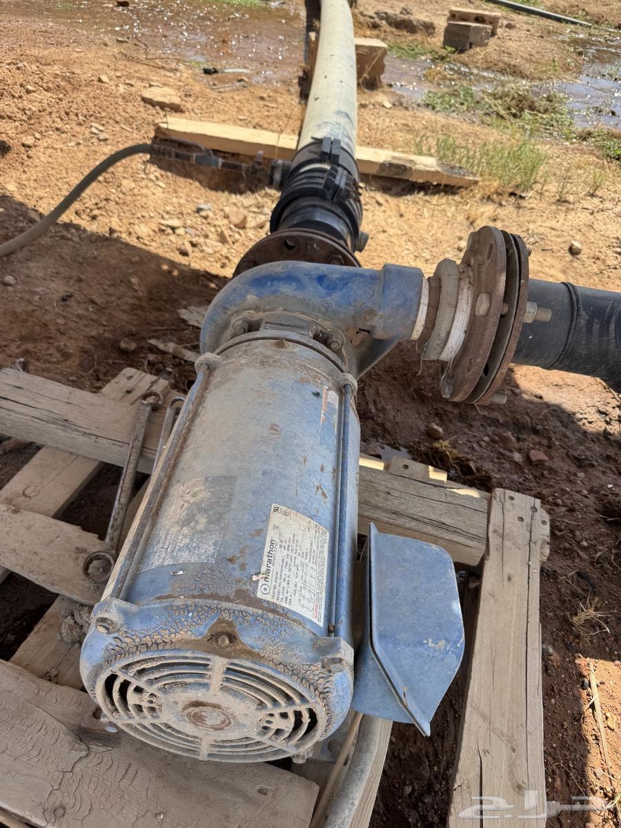 دفاعه سمنان 20 حصان انجليزي64383122656001110