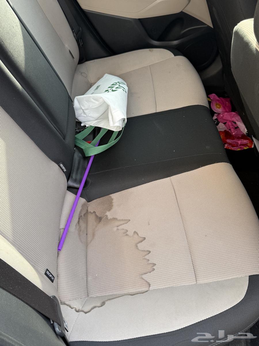 Accent for transfer 202364527220525314114