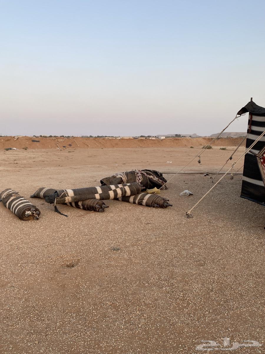 للبيع اغراض مخيم وبيوت شعر نظيفه64379732528898112