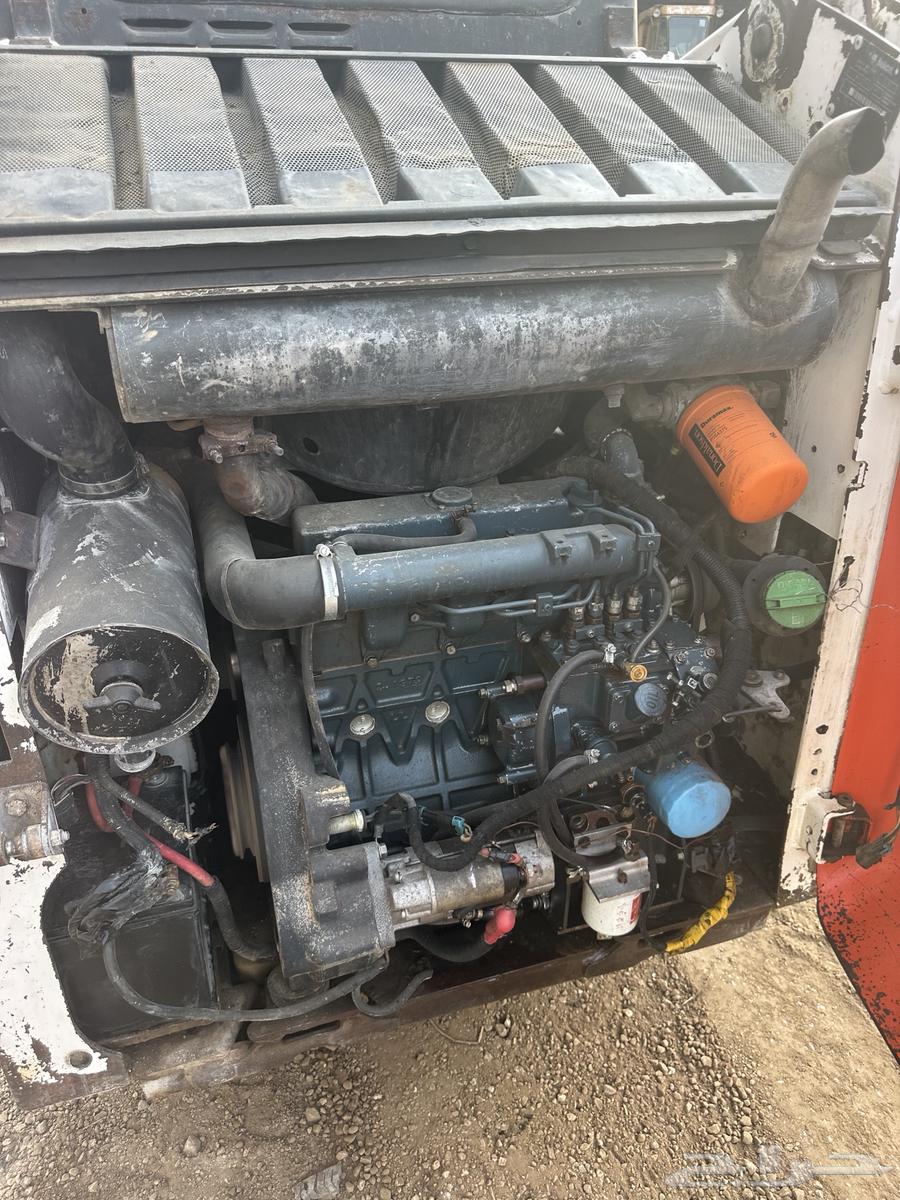 بوبكات ببكات حواس للبيع64533874197634112