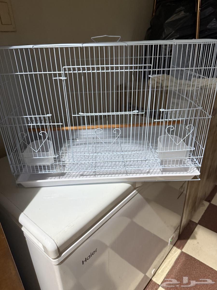 For sale large clean bird cage, new, used for two days64377754469889111