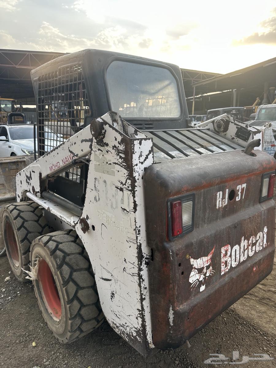 بوبكات ببكات حواس للبيع64533874197634113