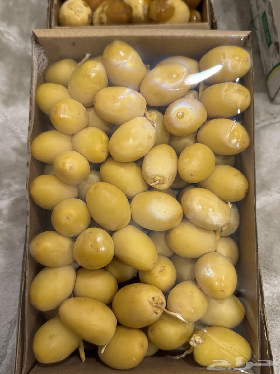 Dates64382679643779111