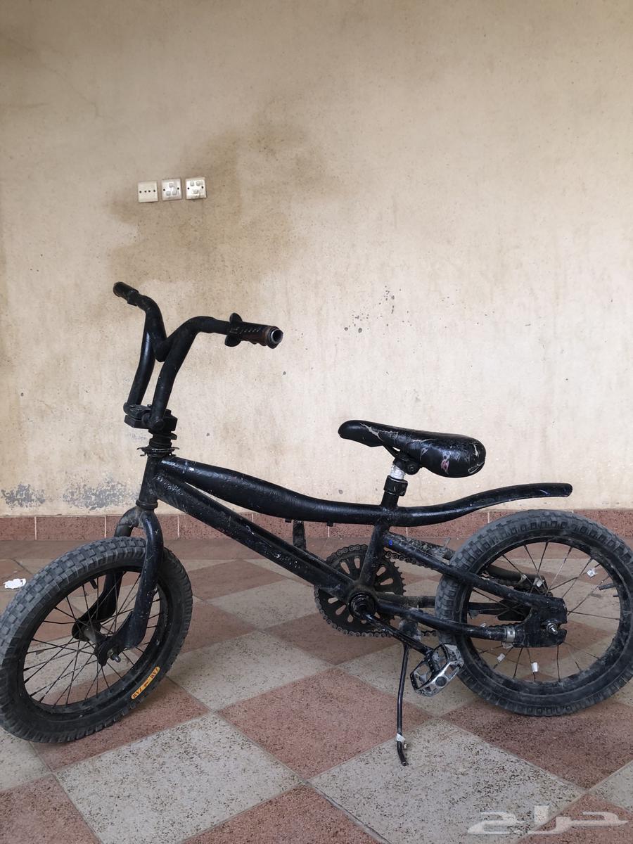 سيكل كوبرا اصلي64387424923009111