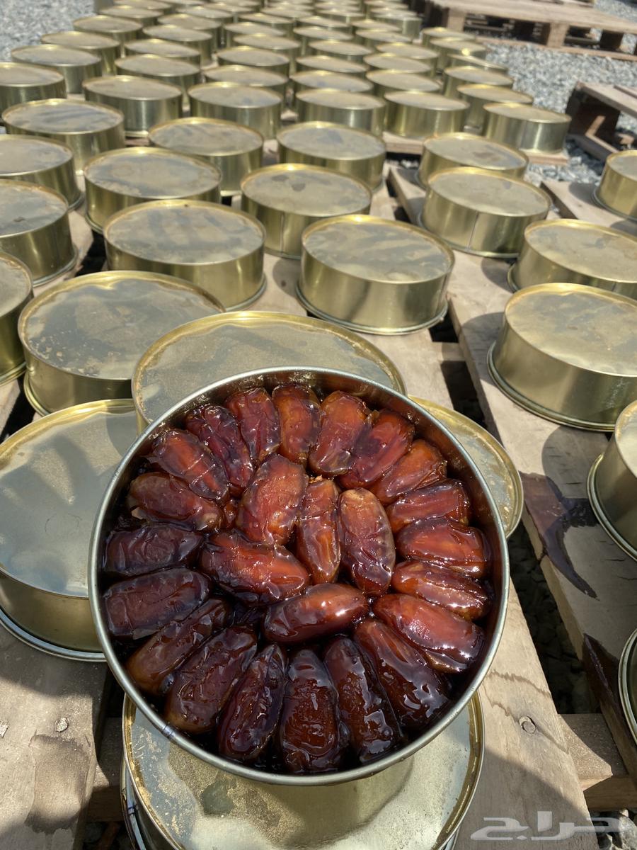 Safri Dates from Bisha, Golden Can, New Production64387132279426113