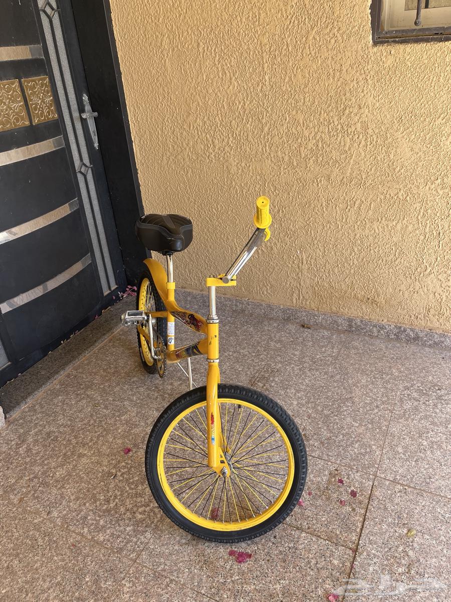 كوبرا جديد اليوم وصل 30064383941123970110