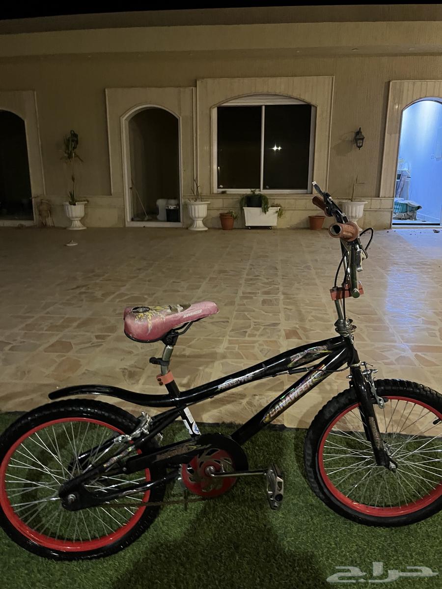 سيكل كوبرا مقاس 20 جديد ولا خدشه64378440383874110