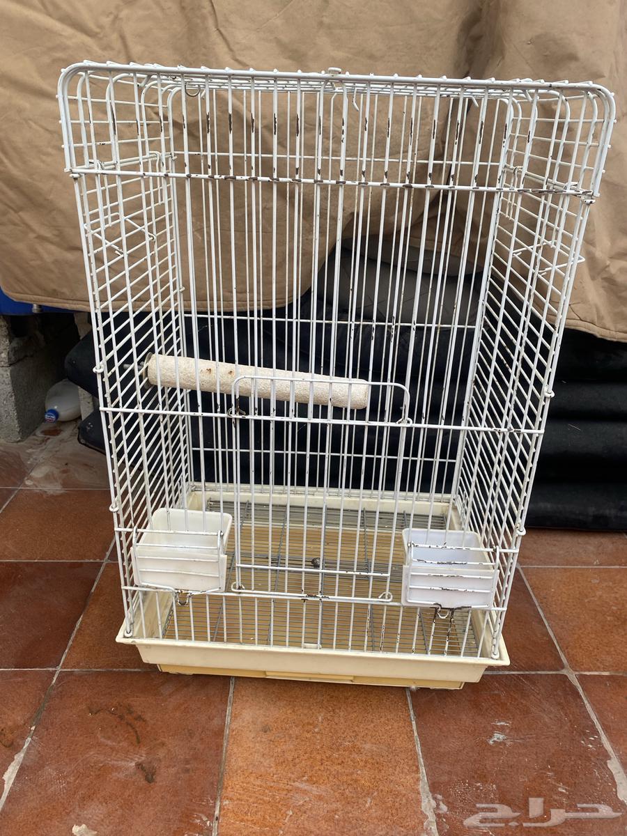 للبيع قفص طيور64386821959171110