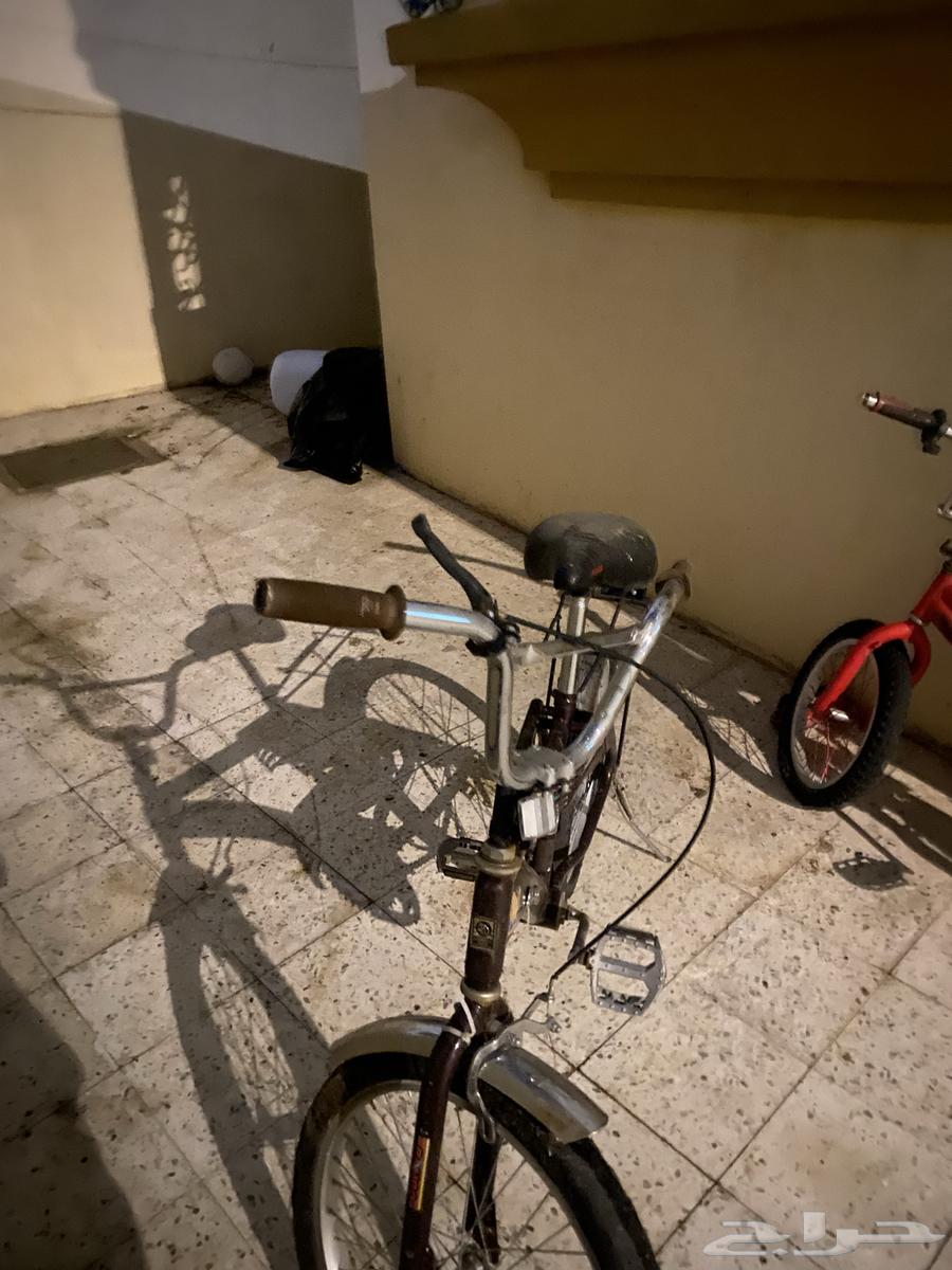 سيكل رامبو مخزن للبيع64390012859139110