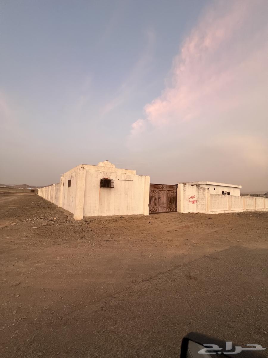 Hosh for rent63614081546753110