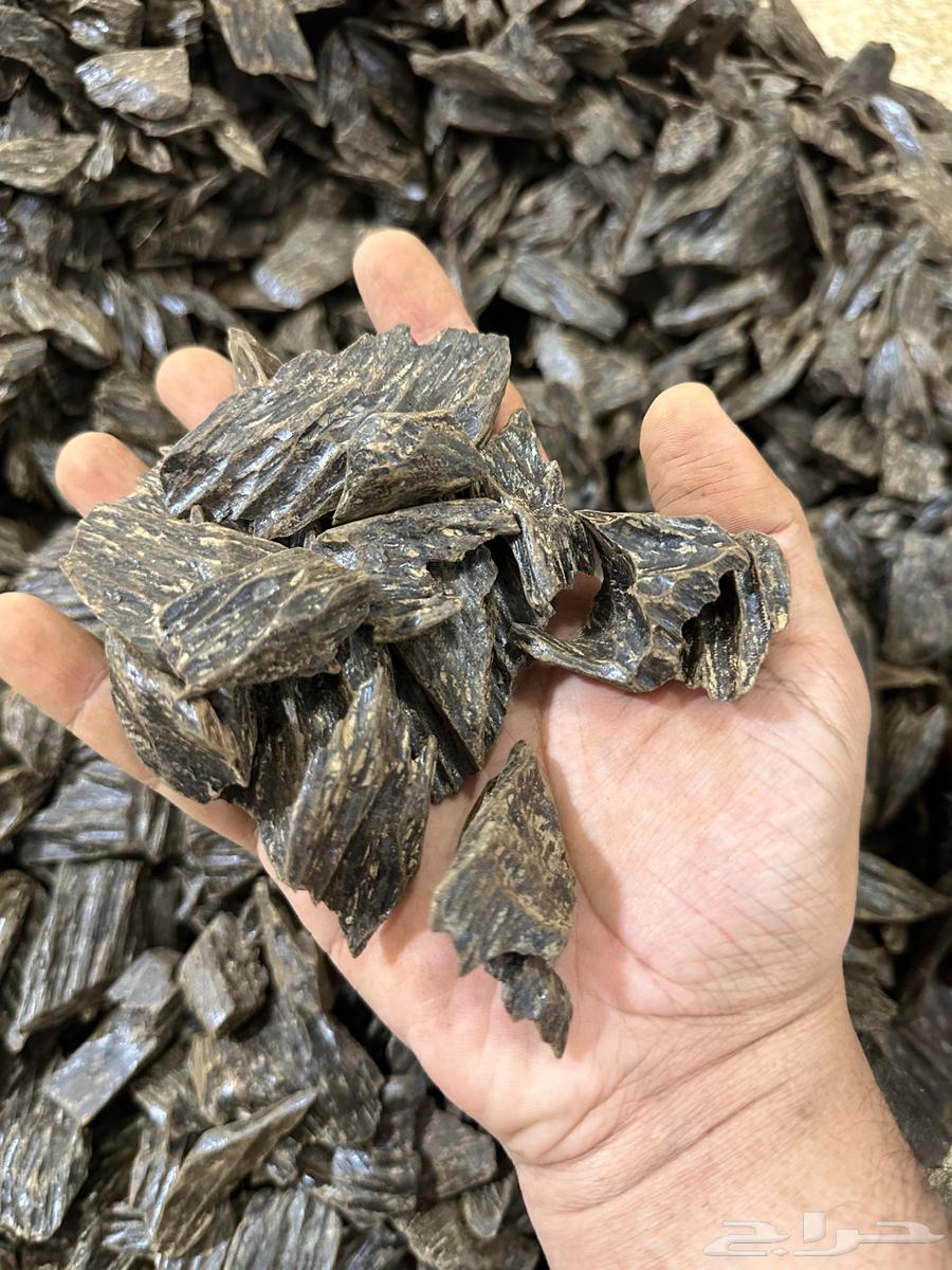 مزاد على ربع كيلو كلمنتان طبيعي محسن64383317261186111