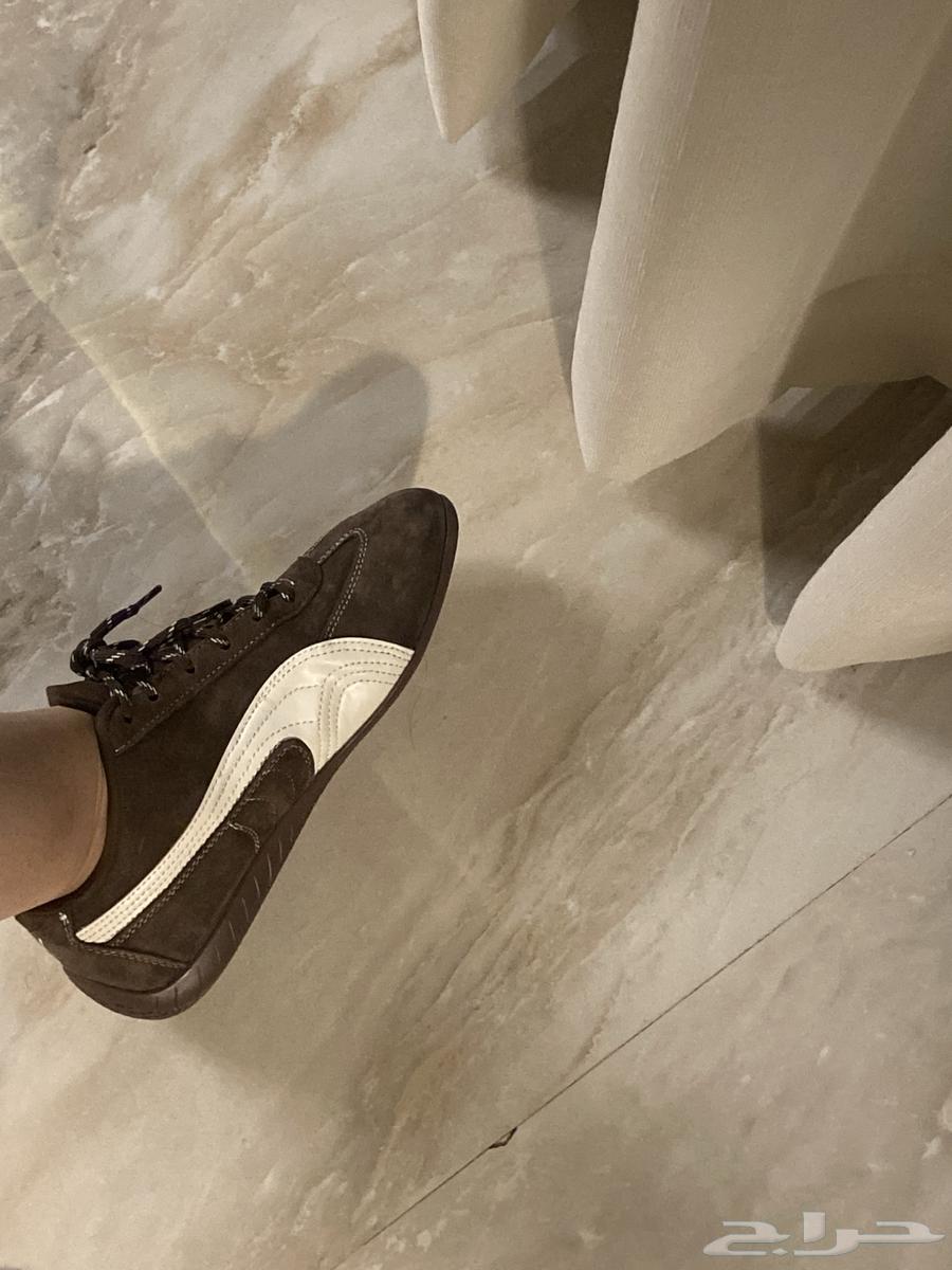 جزمة بوما سبيد كات لون ب ني غامق64390485628161110