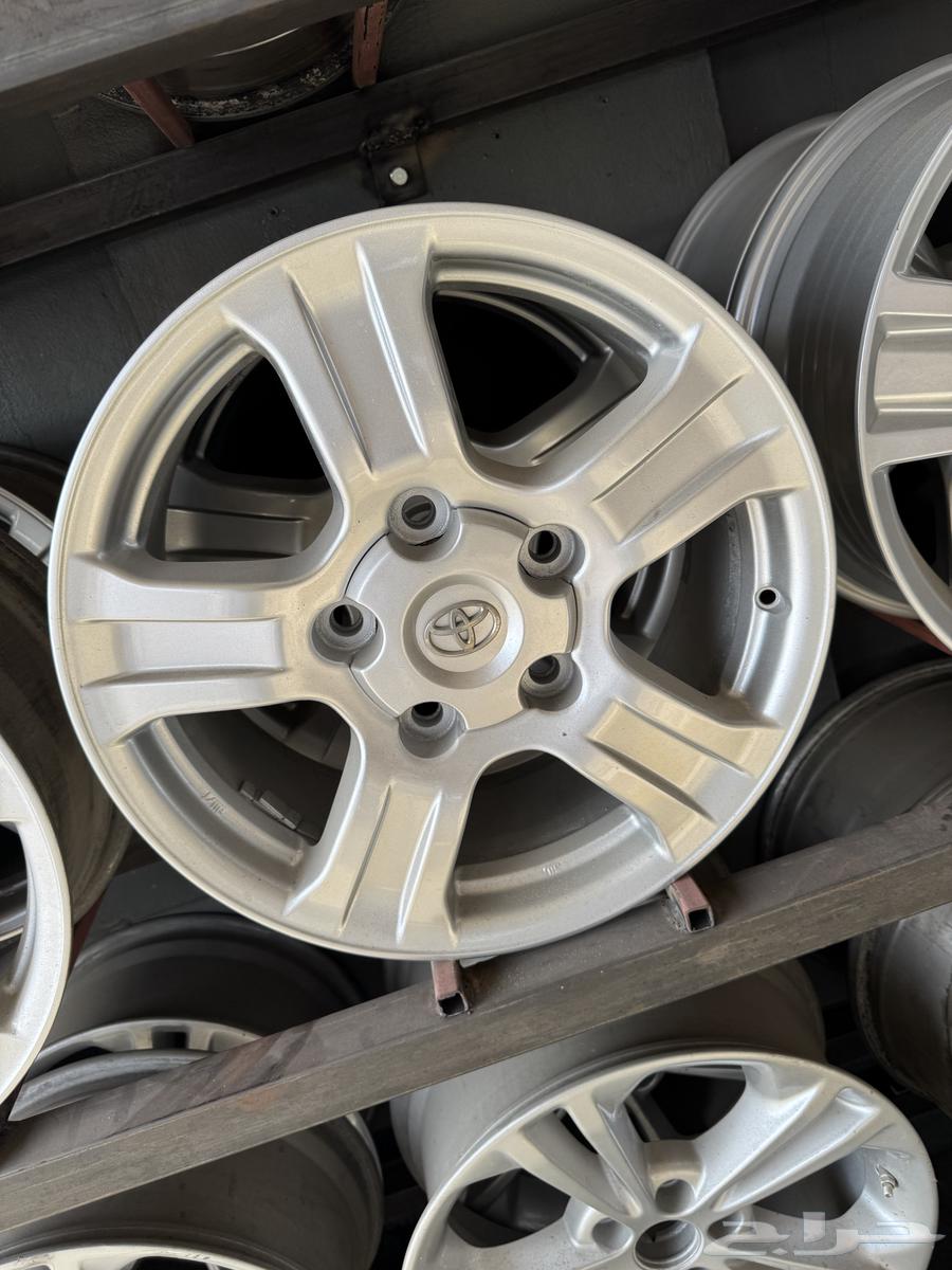 جنوط سكويا اصلي 1864529278266242110