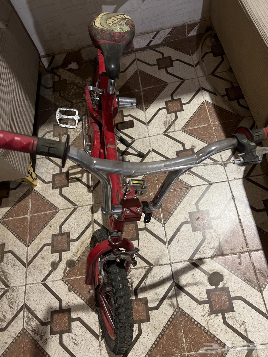 سيكل جديد نظيف بس الجنزيل نازل فقط لاغيز64389433134209111