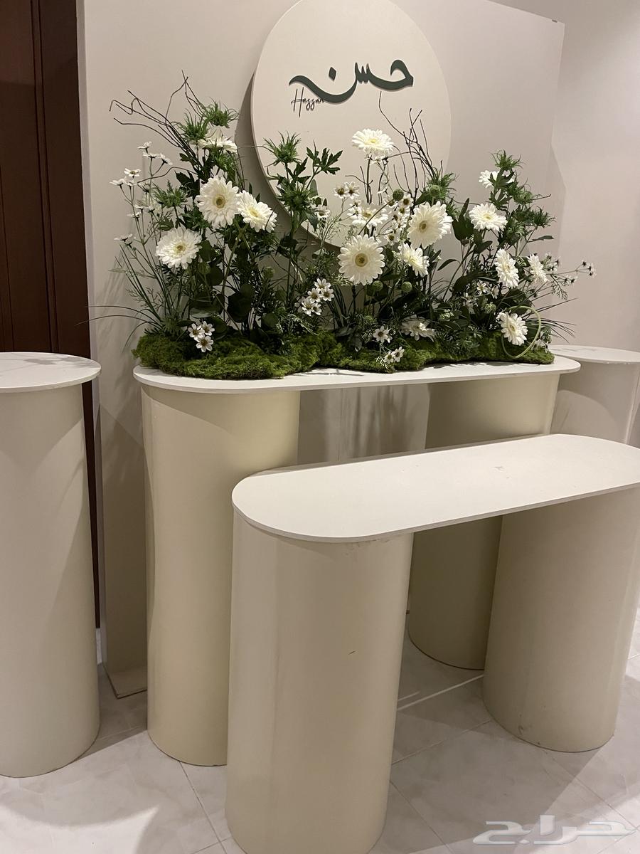 استقبال مواليد استقبال مدخل مدخل مواليد استاند64379311756289113