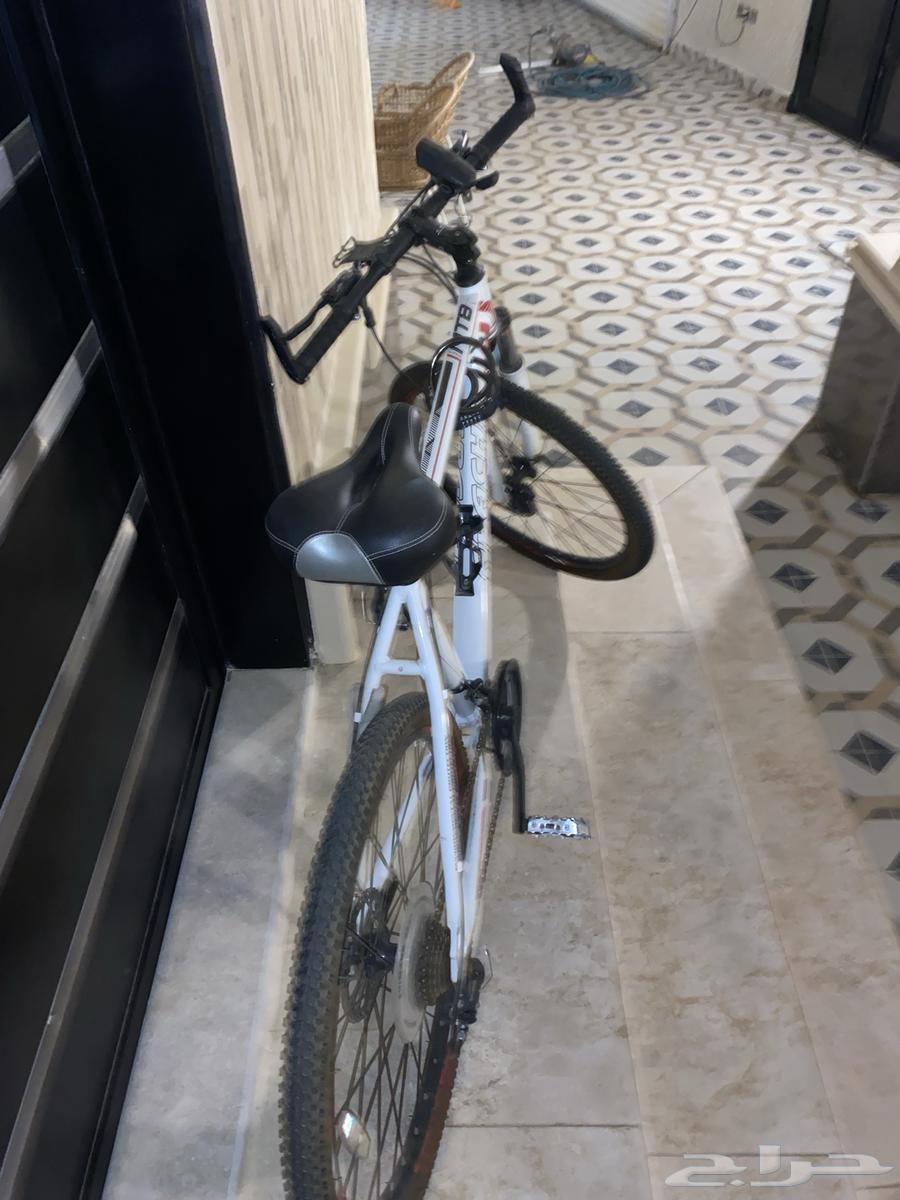 سيكل اخو الجديد مقاس 2664380778698883111