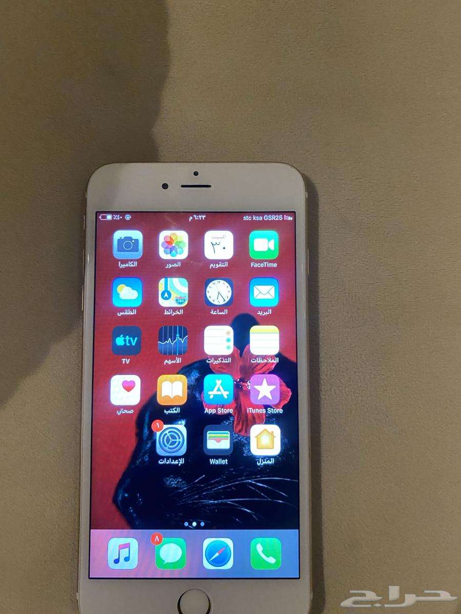 Regular iPhone 6 iPhone Clean64387787953025112