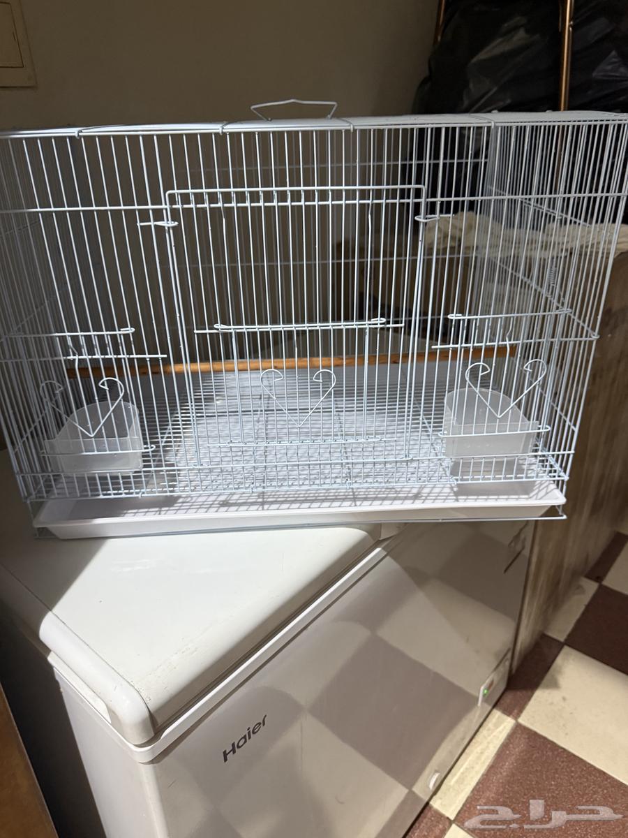 For sale large clean bird cage, new, used for two days64377754469889110