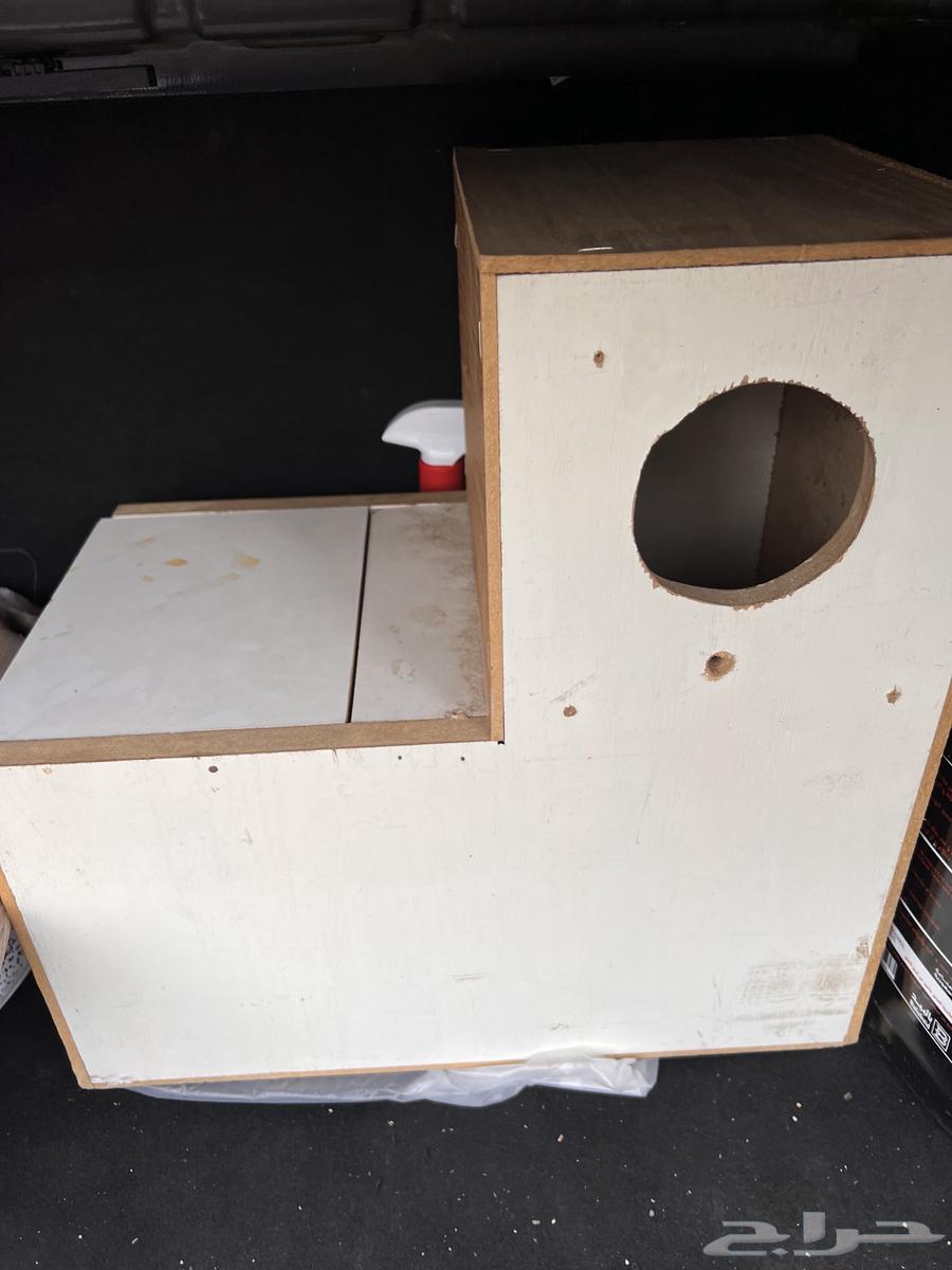 بياضه - طيور زينه64383164099458110