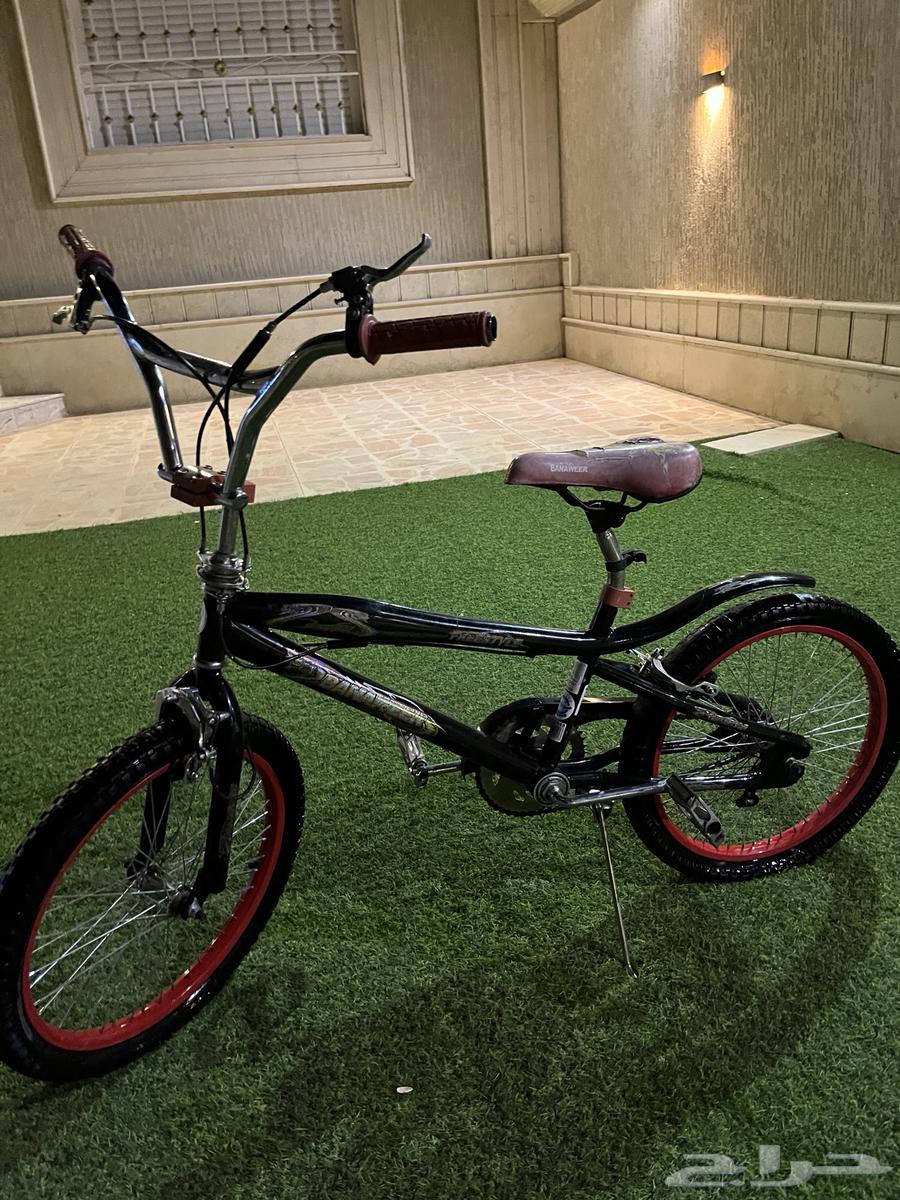 سيكل كوبرا مقاس 20 جديد ولا خدشه64378440383874111