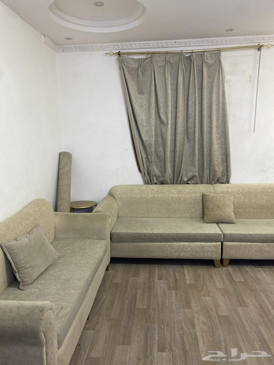 كنب نظيف بنسبه 9064388093387394113