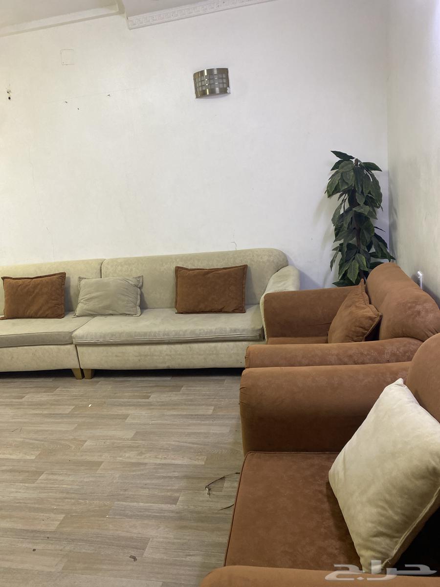 كنب نظيف بنسبه 9064388093387394111