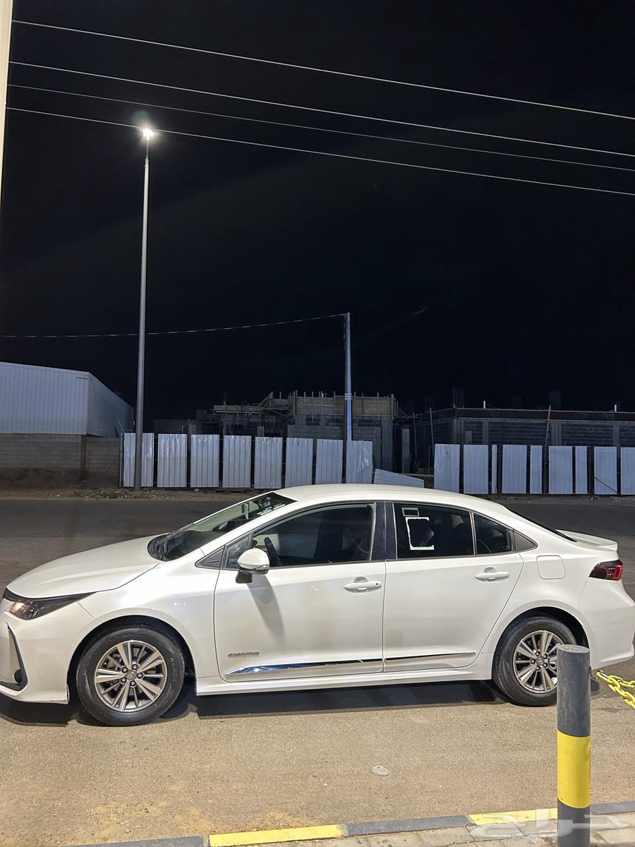 تويوتا كورلا 2020 (بلد)64538063675266114