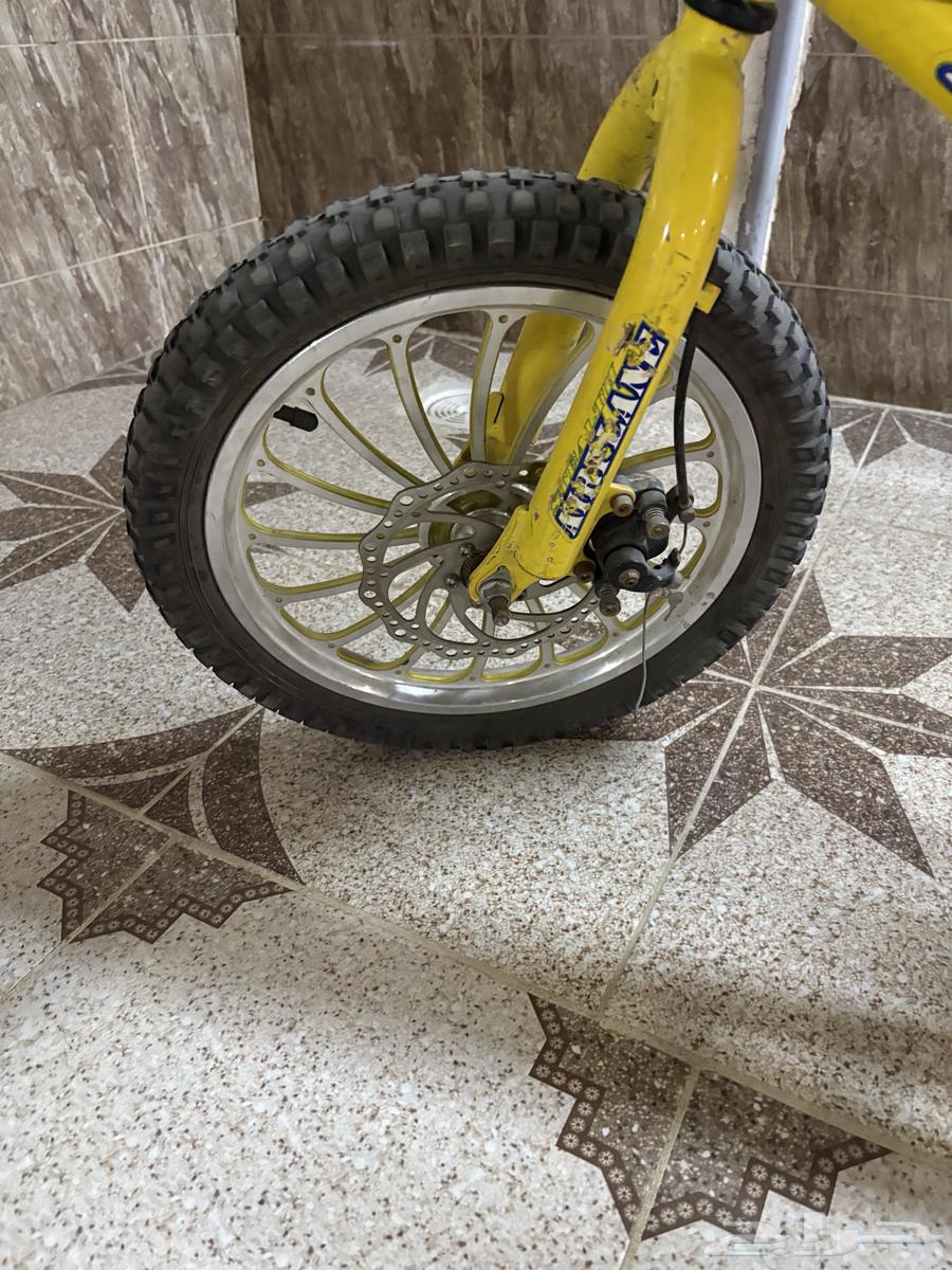 دراجه كوبرا اصفر64379239175425113