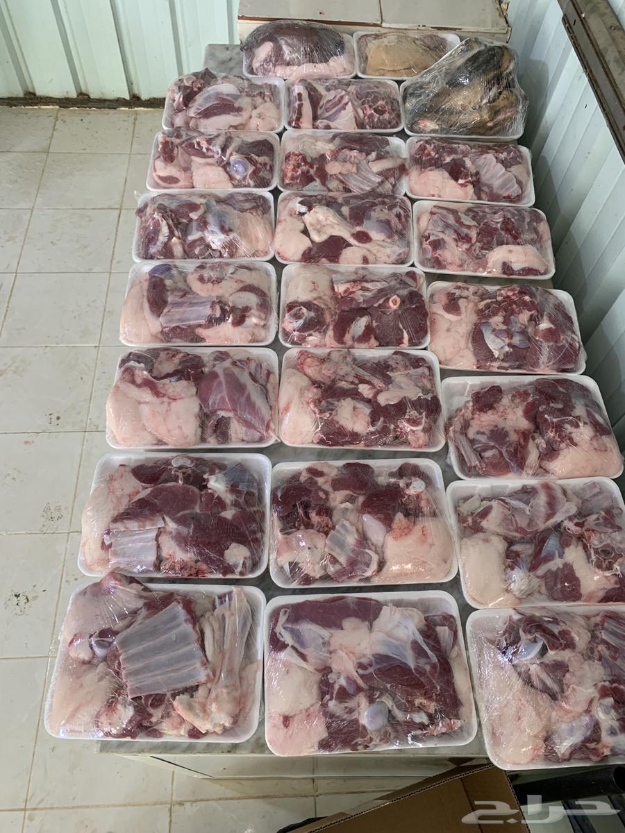 Abu Saeed Al-Shahrani's Slaughters64384409873026110