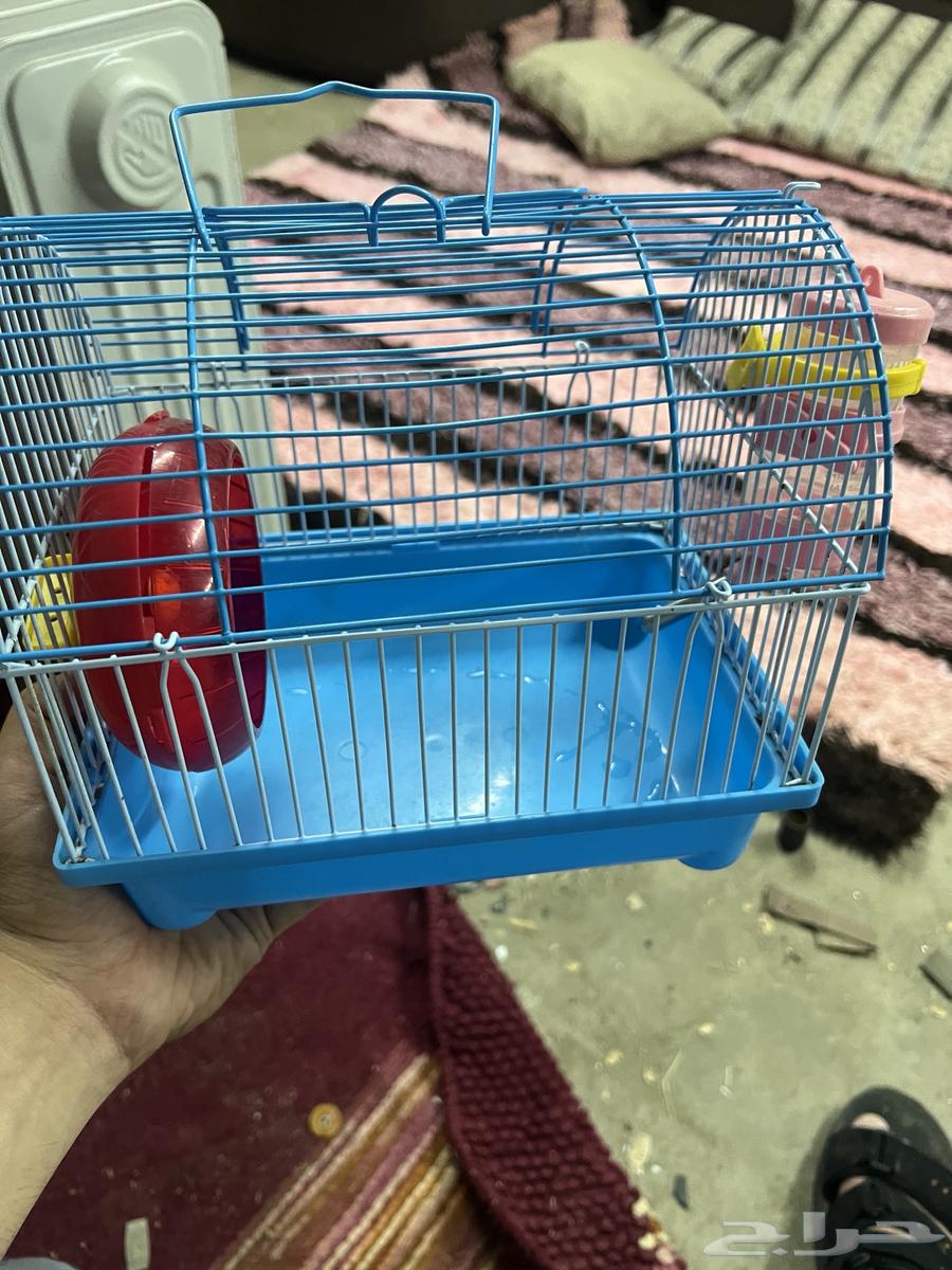 قفص طير64379674619009110