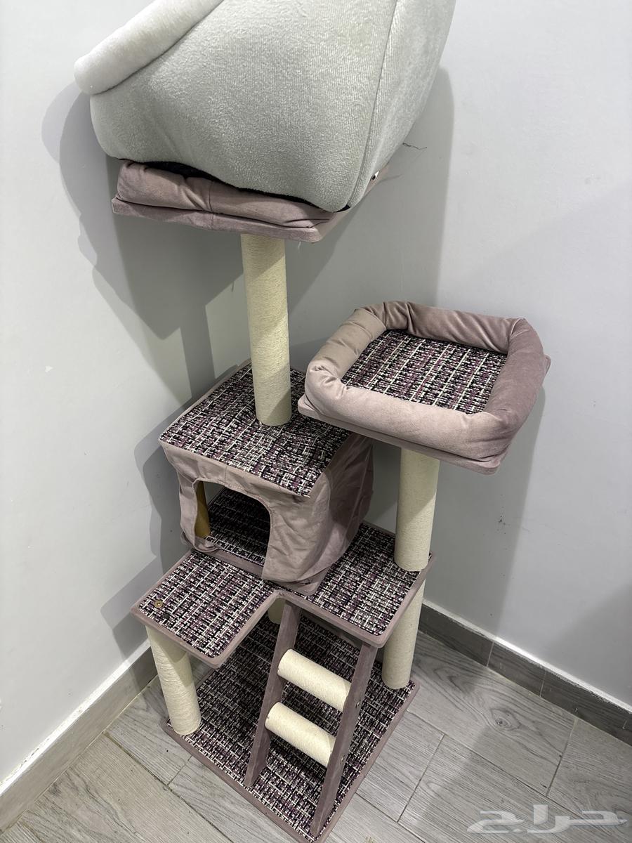 بيت بسه ومخاشه64389667919107111