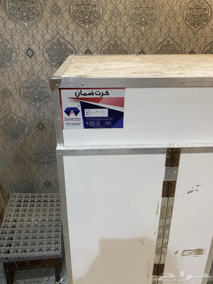 Tamatik incubator64378076334338112