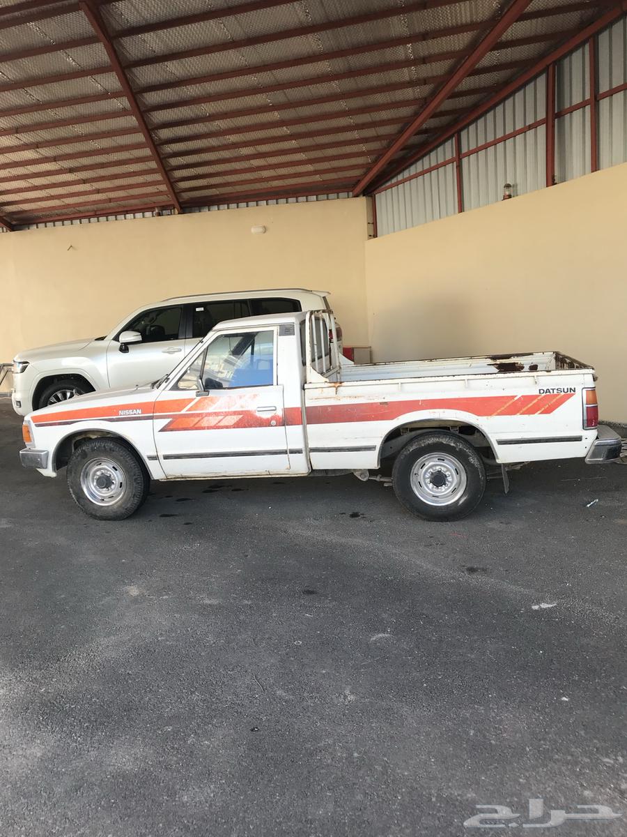 ددسن 85 شد بلد وكاله64524347370498111