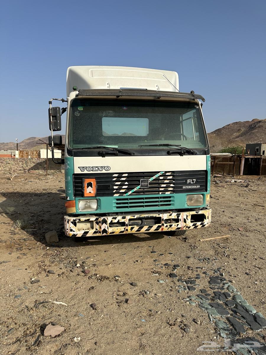 فلفو عايدي للبيع بدون اوراق64536223737730111