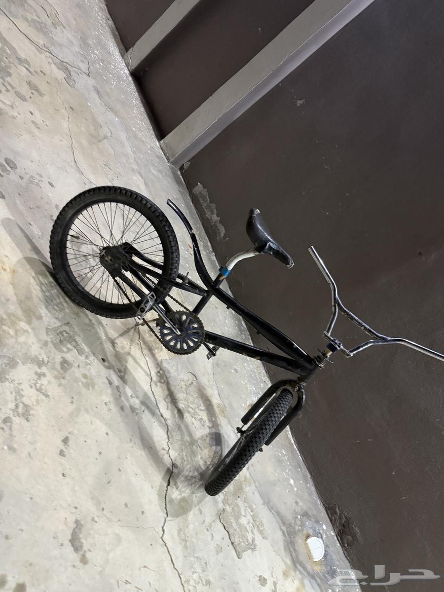 دراجة كوبرا64388509340161112