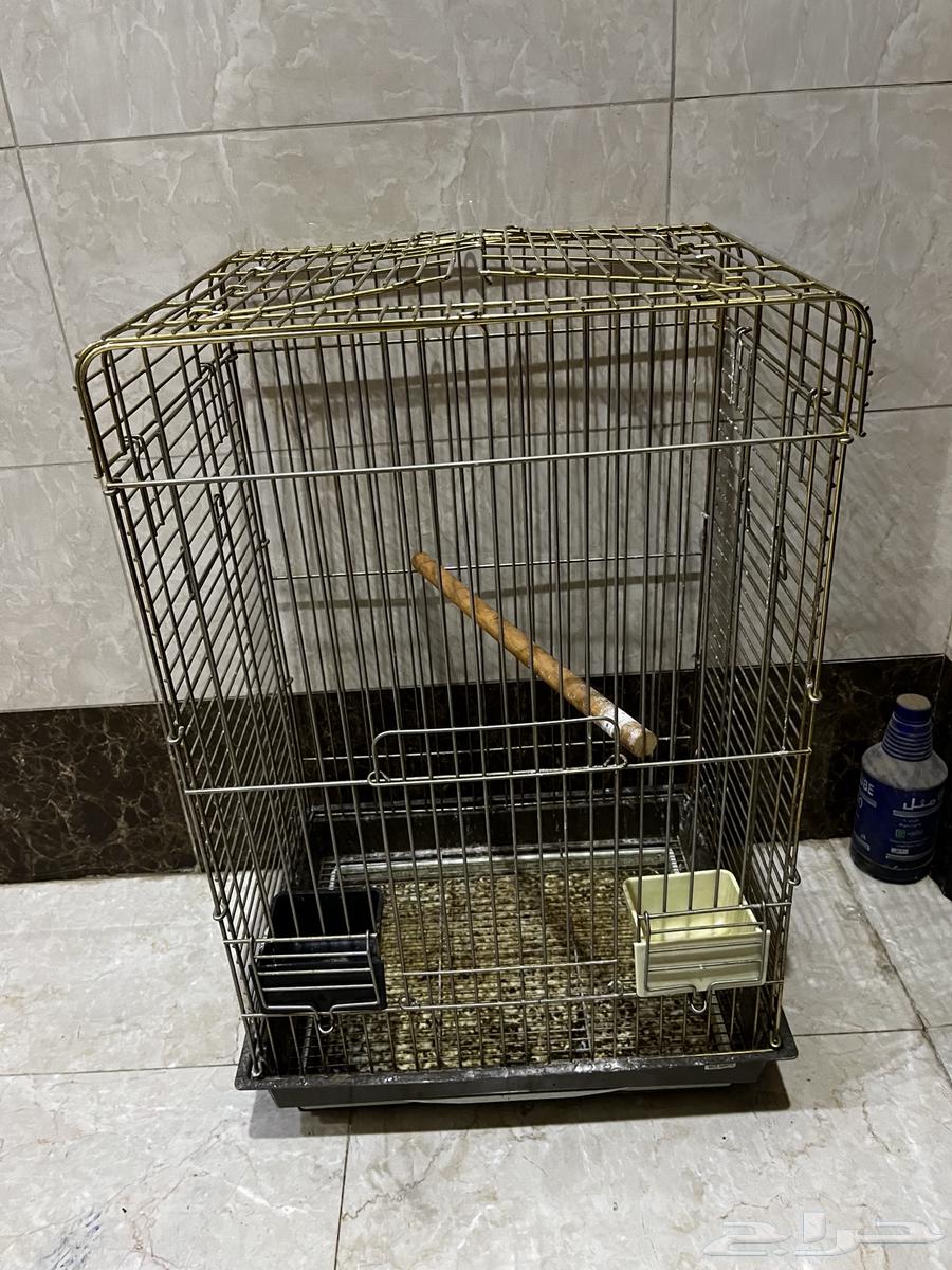 أقفاص طيور للبيع64386571022338111