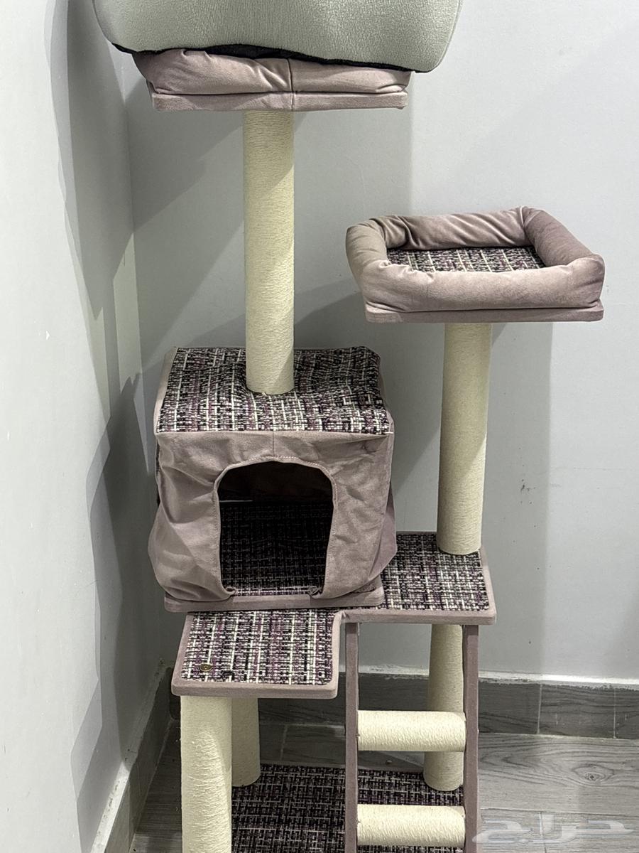 بيت بسه ومخاشه64389667919107110